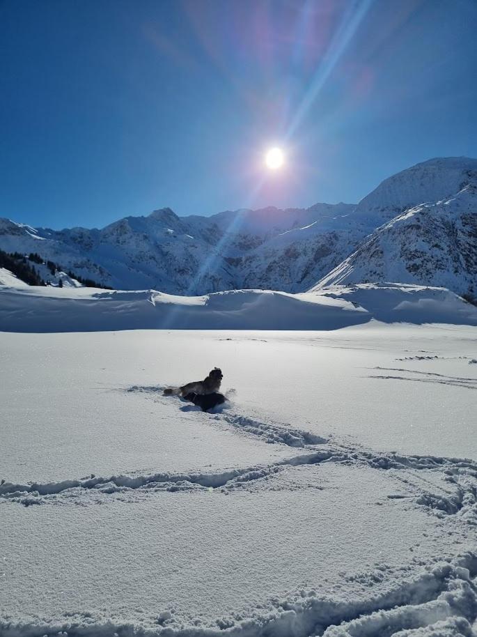 Kurcamping Erlengrund Bad Gastein Exteriér fotografie